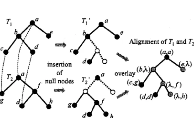Figure 2: An alignable mapping ffom $T_{1}$ to T2: the lines between two trees indicate an alignable mapping.