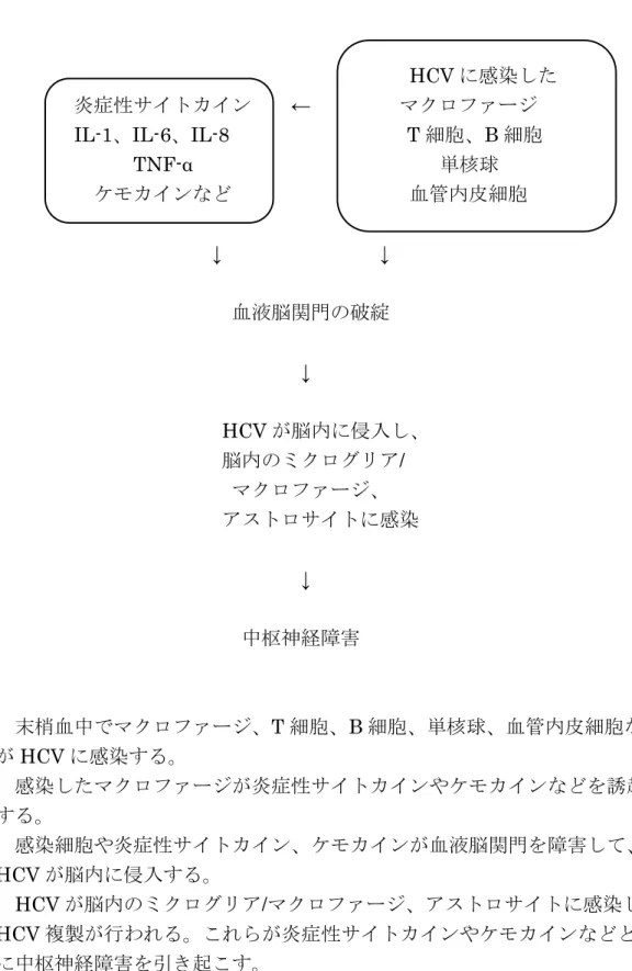図 2 HCV 関連性の中枢神経障害のメカニズム