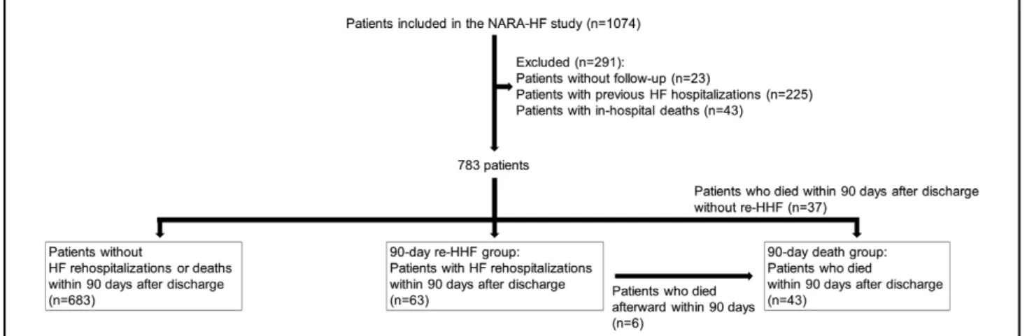 Figure 1.    Flowchart of study population. HF, heart failure; re-HHF, rehospitalization for HF.