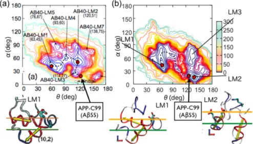 図  6：  (a)  Aβ 1-40 ，(b)Aβ 1-42 の二次元自由エネルギー面．LM は local  minimum  basin を表していて， LM1 は global minimum basin に対応する．