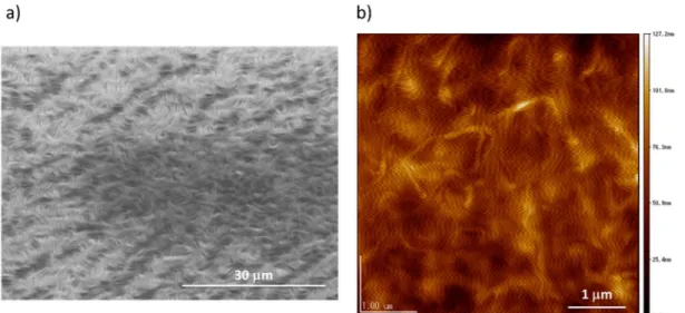 Figure  A3-4.  Morphological  analysis  of  the  Bis-amide-TTF  film  deposited  on  perovskite layer