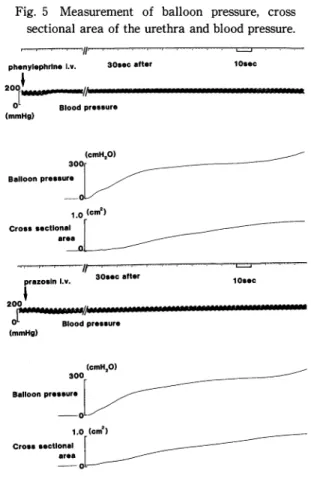 Fig.  5  Measurement  of  balloon  pressure,  cross    sectional  area  of  the  urethra  and  blood  pressure