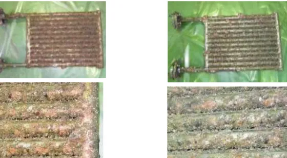 図 3-3-3  試験片⑦（熱交換器）の生物付着状況（夏季）左：表面、右：裏面 
