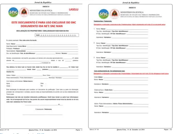 Figura 4: Formulariu SNC