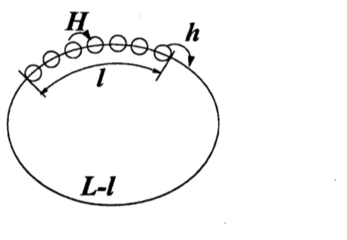 FIG. 7: Schematic explanation of the loose cluster. $H$ is the hopping probability of ants inside the loose cluster and $h$ is that of the leading ant.