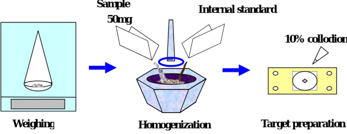 Fig. 5. Procedure of target preparation based on the powdered-internal-standard method