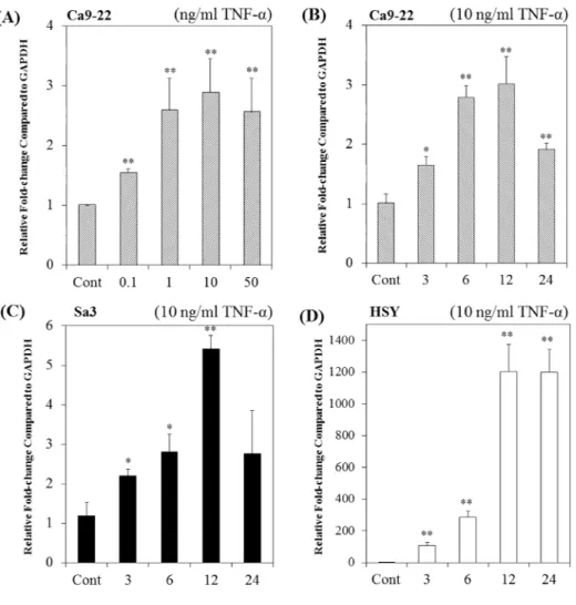Fig. 1 Effects of TNF-α on  FDC-SP  mRNA levels in Ca9-22, Sa3 and HSY cells. (A) Dose-response 