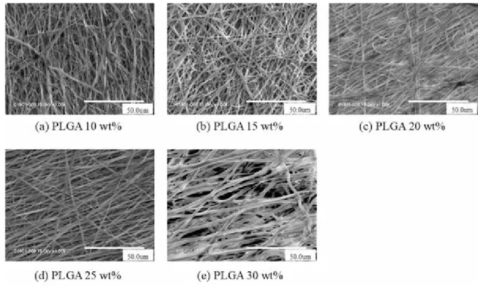 Figure 2    SEM images showing the morphology of respective PLGA concentrations.   