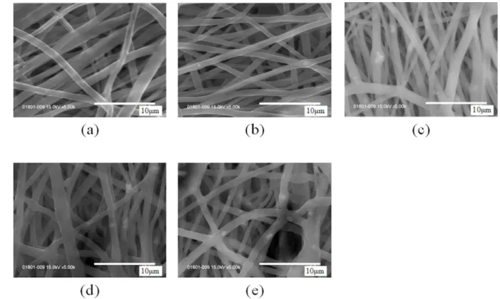 Figure 9 SEM images showing the morphology of respective β-TCP concentrations 