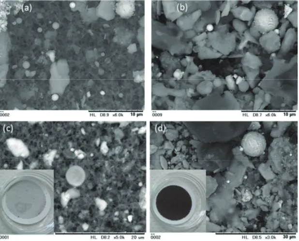 Fig. 3 Scanning electron microscopy (SEM) image of insoluble species on a membrane filter and a photograph of the membrane filter