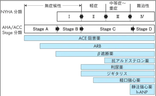 図  2  心不全の重症度からみた薬物治療指針 2