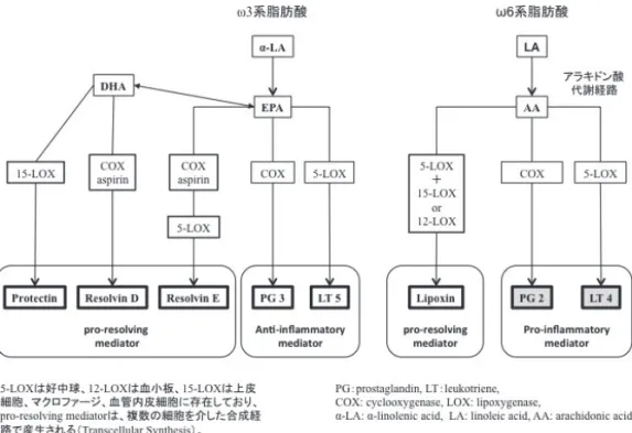 図 3 ω 3 系脂肪酸とω 6 系脂肪酸の代謝経路と Pro-resolving lipid mediators