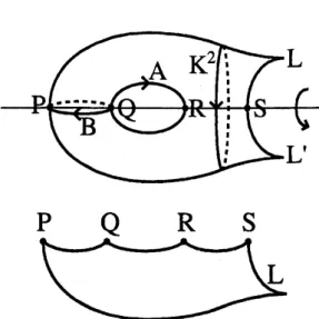 図 6: 2 点穴あきトーラスと (2, 2, 2, 2, \infty )- オービフォルド