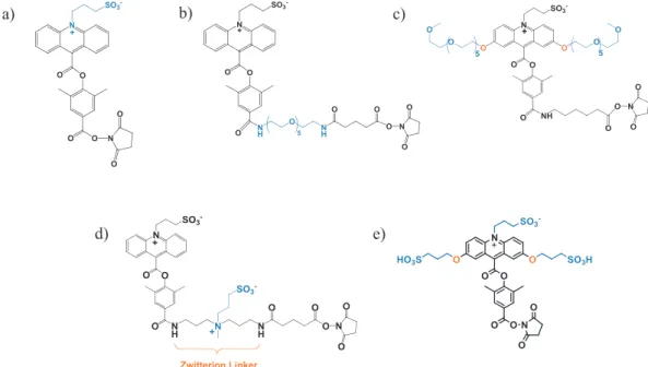 Fig. 4  Acridinium ester innovations at Siemens
