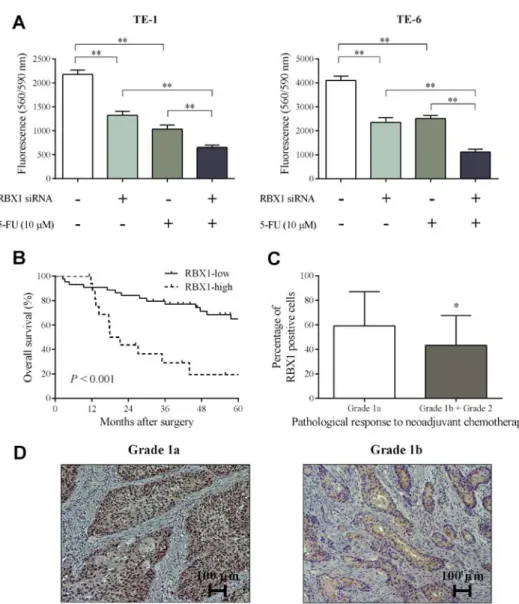 Figure 3. Associations between the expression levels of RBX1 and the antitumor effect of chemotherapy