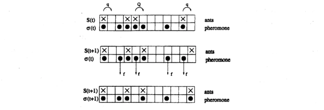Figure 2: Schematic representation of typical configurations; it also illustrates the up- up-date procedure