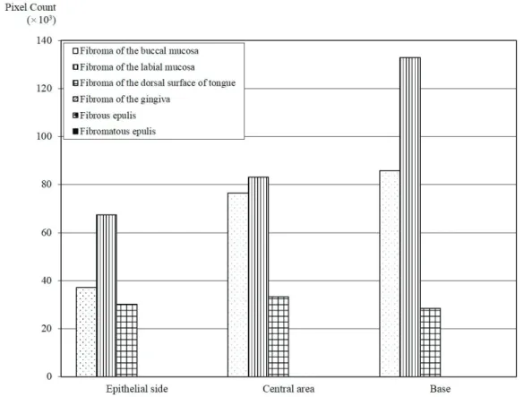 Fig. 7 Comparison of quantity of elastic fibers among OFH in the same area 