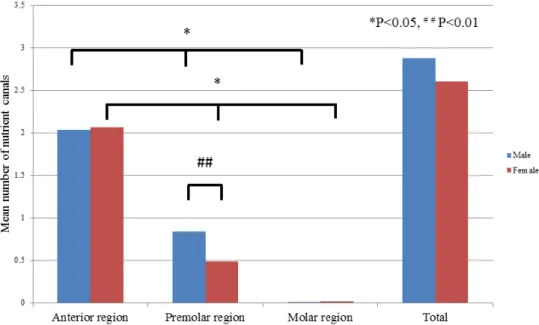 Fig. 5 The mean number of nutrient canals in different regions of the mandible.   