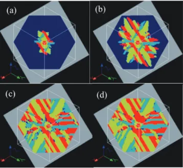 Fig. 11 Time evolution of variants on (111) plane for (a) t＝ 2, (b) t＝4, (c) t＝8, and (d) t＝20 simulated by  elastoplas-tic phasefield model