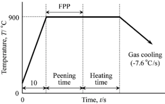 Fig. 1 Schematic illustration of atmosphericcontrolled IH FPP treatment system. 8)