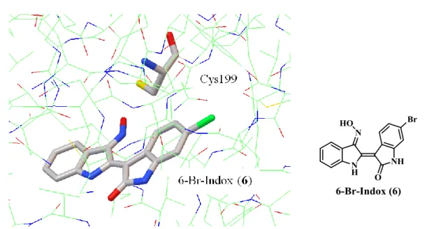 Fig. 5.  6-Br-Indox (6)  を ligand とする GSK-3の結晶構造  (PDB:1UV5 [30]  were  created with Python Molecular Viewer)