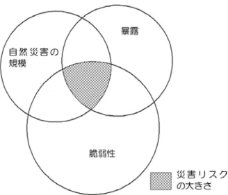 図 1 Eco - DRR における災害リスクのとらえ方