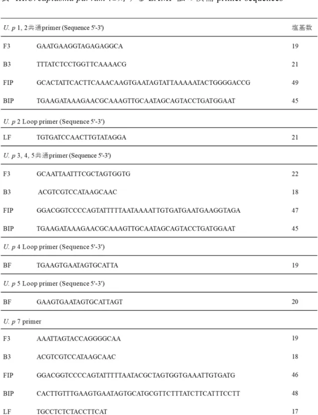 表  III.Ureaplasma parvum に対する LAMP 法の候補 primer sequences 
