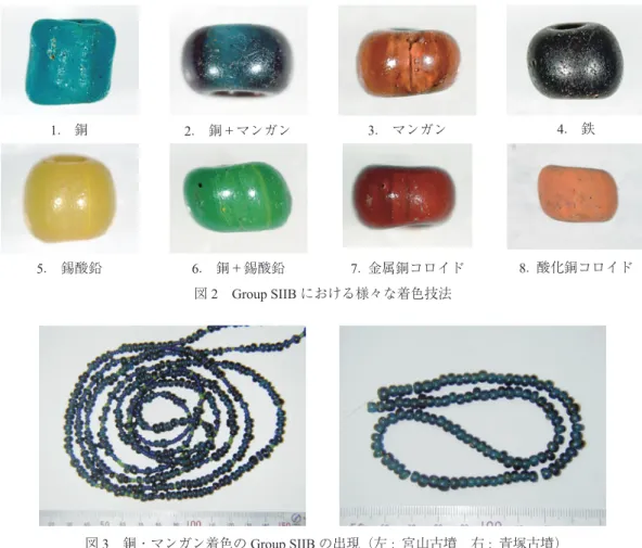 図 2 Group SIIB における様々な着色技法