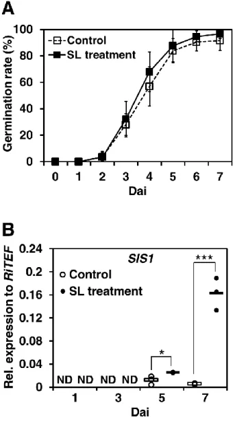 図 4.  胞子発芽率と SIS1 発現の経時的解析 