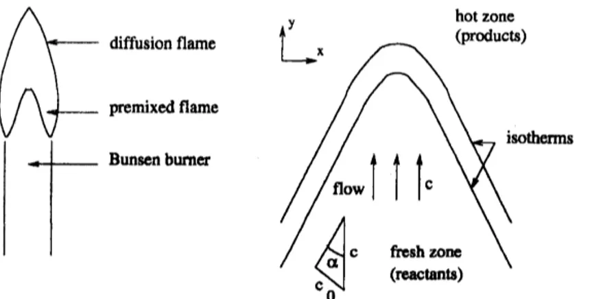 Figure 1: Bunsen flames, premixed flame