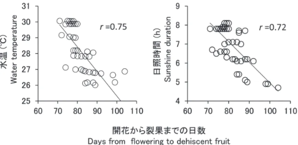 Fig.  6. The  relationship  between  the  days  from  flowering  to  fruit  dehiscence  and  the  water  temperature or sunshine duration.