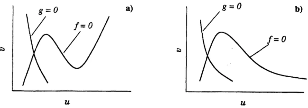 Figure 1: Two major types of the nullclnes: $\mathrm{N}$ -systems(a) and A-systems (b).