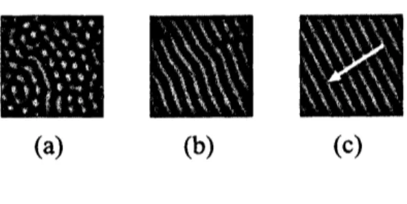 FIG. 3: Snapshots of $\psi(\mathrm{r}, t)$ , indicated in gray scale increasing from black to white, at $t=50$