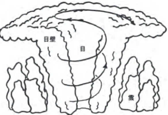 図 4.1 台風の目とその周辺の模式図。矢印線は目壁内の風の流れ。