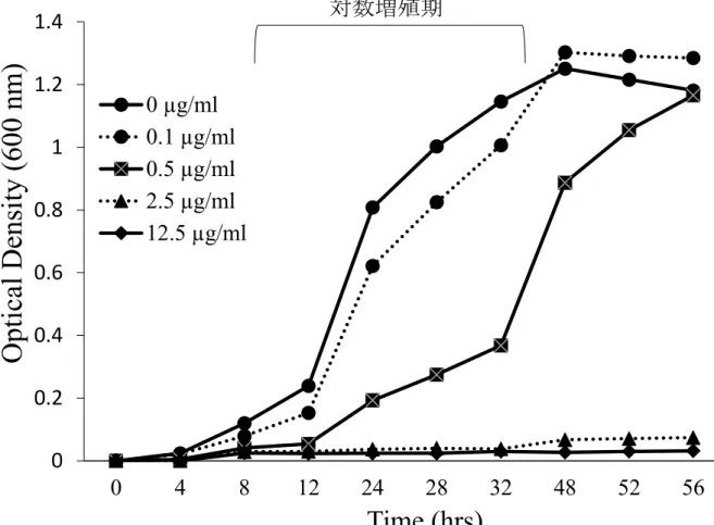 Figure 5 Bestatin による P. g. fimA II 型の増殖能への影響