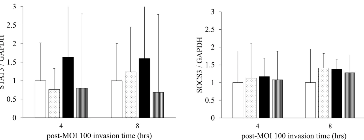 Figure 9  P. g. fimA II 型侵入 Bestatin 添加 BEAS-2B 細胞における STAT3 および SOCS3 遺伝子発現