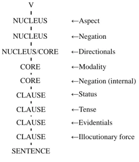 図 20  LSC の操作子投射 