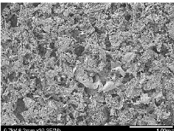 Fig. 1  SEM images of the PLGA-based solid scaffold (PLGA-scaffold).   