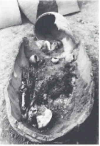 図 13.  新村里 9 号墳の甲・乙・丙甕棺墓および出土遺物（国立羅州文化財研究所 2012b） ▲ガラス玉▲新村里9号墳の甲・乙・丙棺の出土状況▲新村里9 号墳の乙棺から金銅製 冠、金銅製履（靴）、装身具などの各種の遺物が大量に出土▲新村里9号乙棺の主棺と副棺▲金銅製冠▲金銅製履（靴）▲環頭太刀▲鉄製刀子ほか▲金銅製装身具ほか