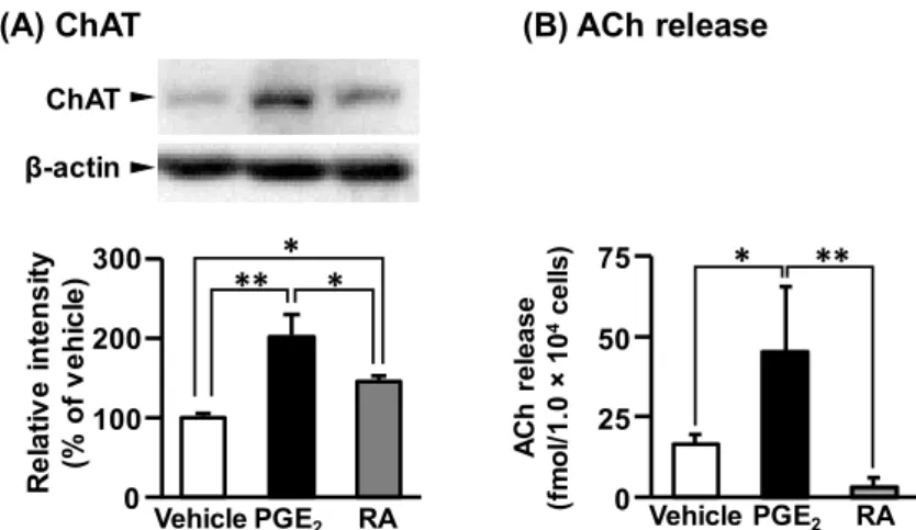 Fig. 3 Representative action potential traces (A) and threshold current (B) in NSC-34 cells