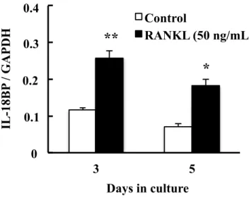 Fig. 2. Effect of RANKL on mRNA expression of IL-18BP in RAW264.7 cells.   