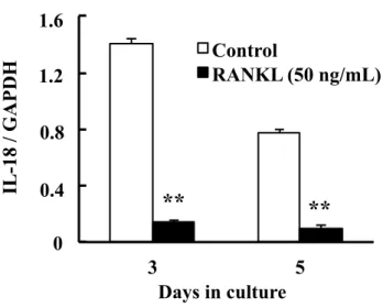 Fig 3. Effect of RANKL on mRNA expression of IL-18 in RAW264.7 cells.   