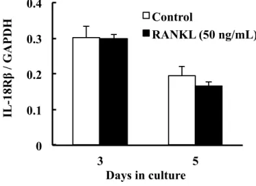 Fig. 4. Effect of RANKL on mRNA expression of IL-18R� in RAW264.7 cells.   