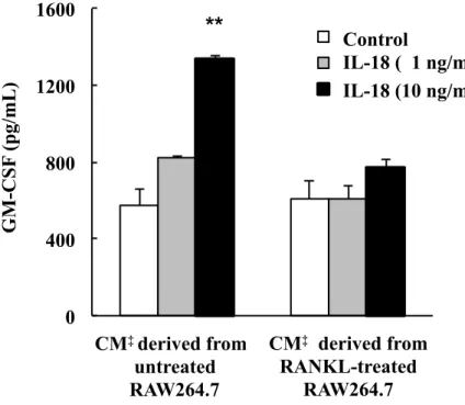 Fig. 6. Effect of conditioned medium derived from RAW264.7 cells on IL-18-induced  GM-CSF expression in CD4 +  T cells