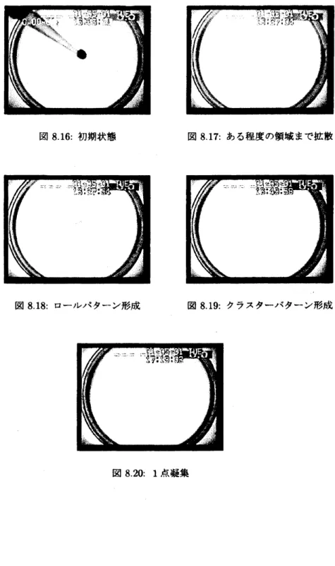 図 8.16: 初期状態 図 8.17: ある程度の領域まで拡散