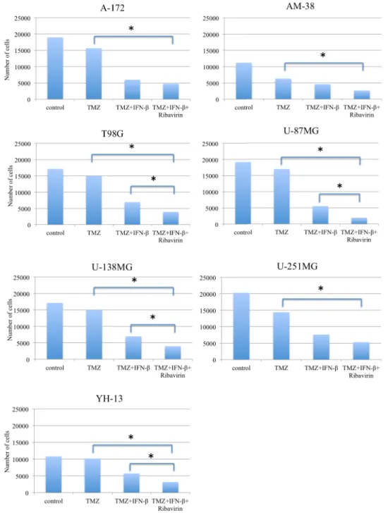 Figure 12. TMZ 単剤投与群、 TMZ + IFN-β2 剤併用投与群および、 TMZ + IFN-β + 