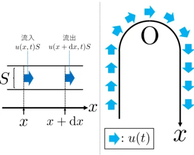 図 20 非圧縮性流体はわき出さない 圧縮性流体と見なすならば，質量保存則 ( 連続の式 ) は ∂u ∂x = 0 となる．このため図 20 のように管の各位置 x にある水は共通の速度 u(t) で一斉に流れることになる．この ように原理的にはサイフォンの水の流れは，流体に作用する力で決まっているはずであるけれど，流体の非圧 縮性を仮定すると運動方程式を用いることなく，水の各部分は共通の速度で一斉に流れるという結論が得ら れる． 水の非圧縮性をもたらすメカニズム よってサイフォンの原理を説明するには，水