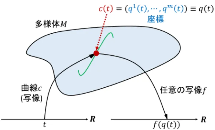 図 11 合成写像 t ∈ R 7→ c(t) ∈ M 7→ f ◦ c(t) ≡ f(c(t)) ∈ R 14.1 微分形式に対する Stokes の定理 接ベクトル 多様体 M の各点における微分作用素 v = v i ∂ i 
