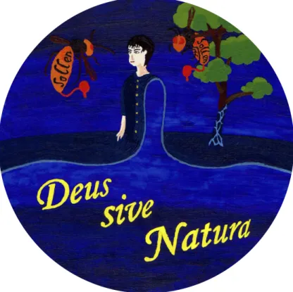 図 13 神即自然 (Deus sive Natura) と当為命題の対立 ■ Hume の 法則 を逆手に取られる可能性 「〜すべき」という恣意性・無根拠性・虚構性を免れない発言 も，以下のように「〜してほしい」と言えば嘘にはならないことになる． 「これぐらい知っているべき」 → 「これぐらい知っていてほしい」 「将来のビジョンを持つべき」 → 「将来のビジョンを持って頑張ってほしい」 偽善的である． もっともこれらが事実命題の仮面を被った当為命題であることは容易に察知できる． 2.4 Spinoza 描