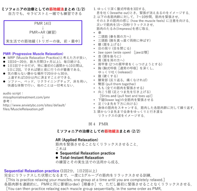 図 5 AR